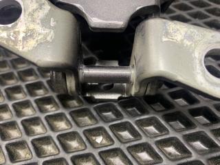 Петля двери задняя левая Santa Fe 2019 TM D4HB