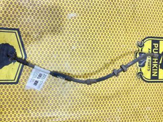 Трубка тормозная передняя правая Volkswagen Polo 2017 Б/У Трубка тормозная передняя правая Volkswagen Polo 2017