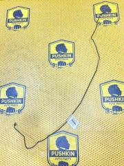 Трубка тормозная передняя левая Volkswagen Passat 2017 Б/У Трубка тормозная передняя левая Volkswagen Passat 2017