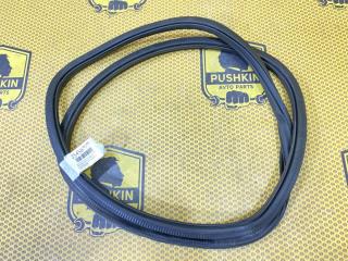 Уплотнитель на проем задний левый Volkswagen Passat 2017