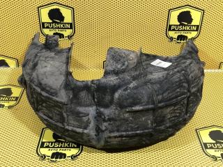 Подкрылок задний правый Skoda Octavia 2018