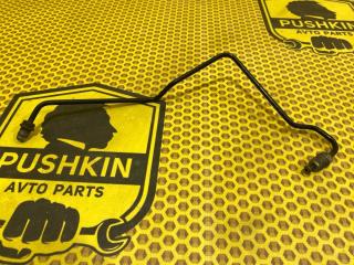 Трубка тормозная передняя левая Volkswagen Tiguan 2011 Б/У Трубка тормозная передняя левая Volkswagen Tiguan 2011