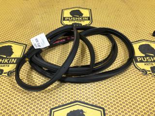 Уплотнитель на дверь задний правый Kia Cerato 2010