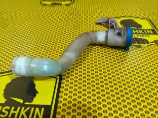 Горловина бачка омывателя Skoda Octavia 2018