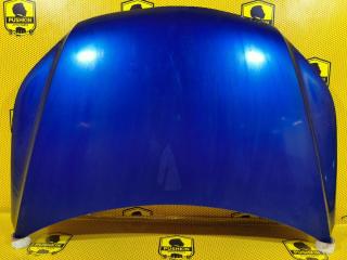 Капот Volkswagen Tiguan 2010