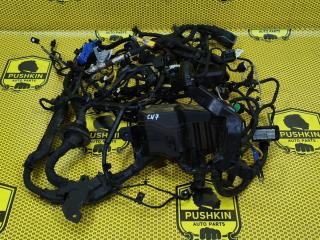 Проводка подкапотная Hyundai Elantra 2023