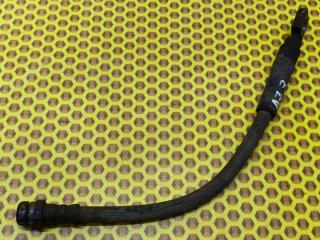 Шланг тормозной задний правый Skoda Octavia 2018