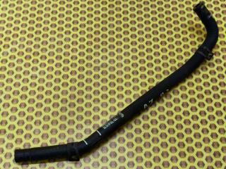 Шланг расширительного бачка верхний Skoda Octavia 2018