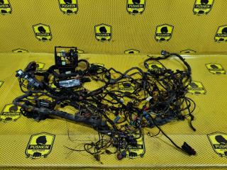 Центральный жгут проводов Skoda Rapid 2014