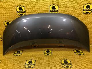 Капот Volkswagen Multivan 2024