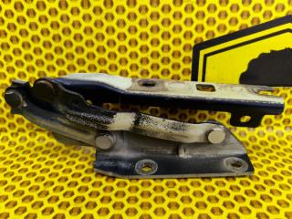 Петля капота правая Volkswagen Golf 2012 Б/У Петля капота правая Volkswagen Golf 2012