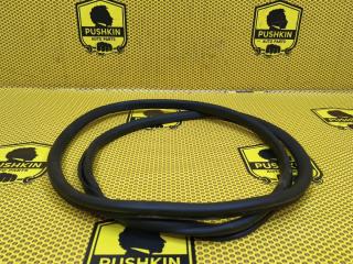 Уплотнитель на проем задний левый Volkswagen Passat 2013