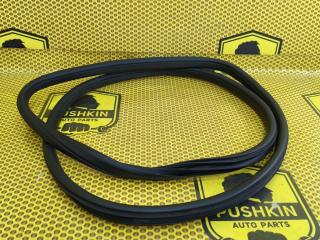 Уплотнитель на проем задний левый Nissan Juke 2011