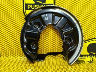 Пыльник тормозного диска задний правый Volkswagen Passat 2017