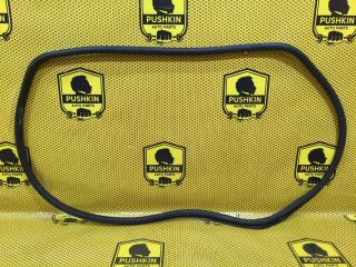 Уплотнитель на проем задний правый Volkswagen Passat 2006