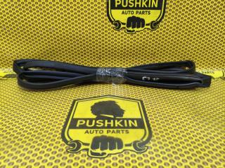 Уплотнитель на дверь задний левый Kia Optima 2018