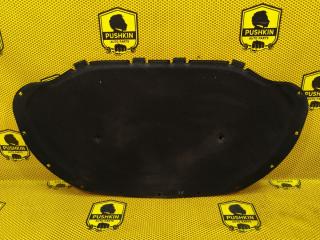 Шумоизоляция капота Skoda Octavia 2013