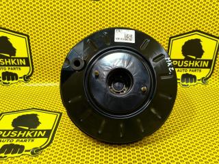 Вакуумный усилитель тормозов Volkswagen Polo 2020