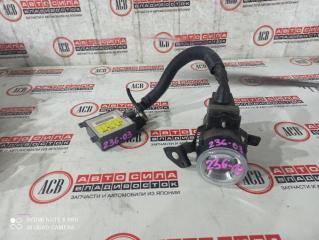 Запчасть туманка TOYOTA CROWN MAJESTA