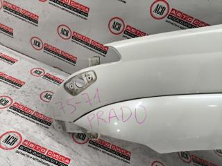 Крыло левое переднее TOYOTA LAND CRUISER PRADO KDJ120 53802-6A150 2 ракурс
