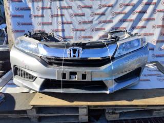 Nose cut HONDA GRACE