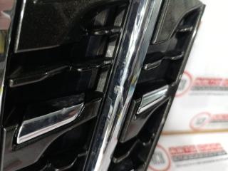 Решетка радиатора TOYOTA ALPHARD GGH30 53101 58360, 53111-58400 3 ракурс