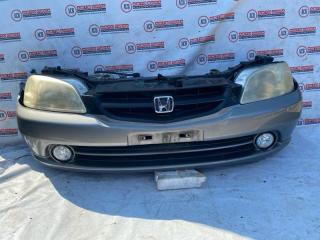 Nose cut HONDA ORTHIA