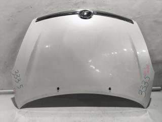 Капот TOYOTA WISH