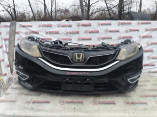 Nose cut HONDA JADE