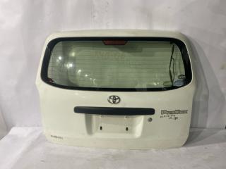 Дверь 5-я TOYOTA PROBOX NCP165 1 ракурс