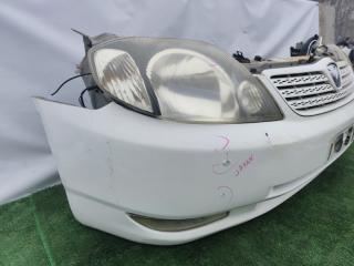 Nose cut TOYOTA ALLEX ZZE123 12-469 2 ракурс