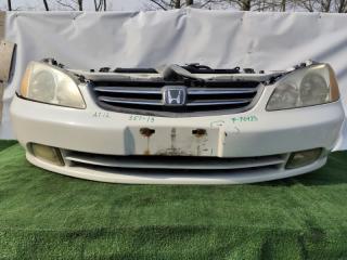 Nose cut HONDA AVANCIER