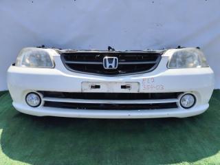 Nose cut HONDA ORTHIA