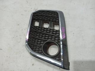 Ободок туманки левый TOYOTA ALPHARD AGH30W 8148258210 1 ракурс