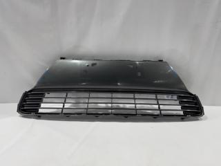 Решетка бамперная передняя LEXUS CT200H ZWA10 53112-76060 1 ракурс