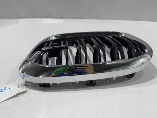 Решетка радиатора левая BMW X4 F98 BM021 1Y10 XX00 4 ракурс
