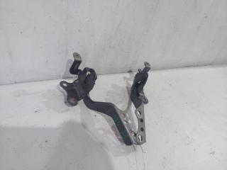Петля капота TOYOTA AQUA NHP10 1 ракурс