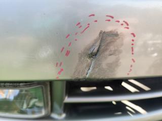 Nose cut HONDA AVANCIER TA1 P0123 1 ракурс