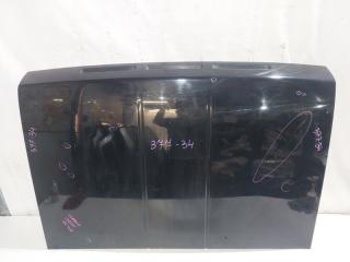 Капот NISSAN TERRANO LBYD21 4 ракурс