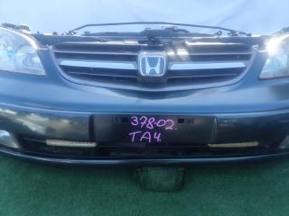 Nose cut Honda AVANCIER TA4 Р0123 4 ракурс
