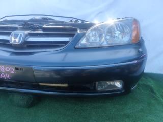 Nose cut Honda AVANCIER TA4 Р0123 5 ракурс