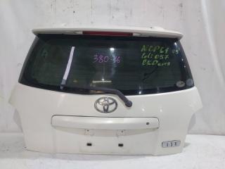 Дверь 5-я TOYOTA IST NCP61 1 ракурс