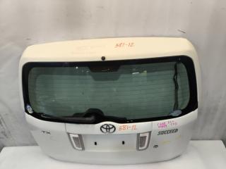 Дверь 5-я TOYOTA SUCCEED NCP59 2 ракурс