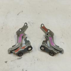 Петля капота TOYOTA VOLTZ ZZE138 1 ракурс