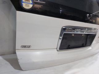 Дверь 5-я MITSUBISHI CHARIOT GRANDIS N84W 4 ракурс