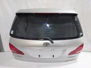 Дверь 5-я TOYOTA IPSUM ACM21 2 ракурс