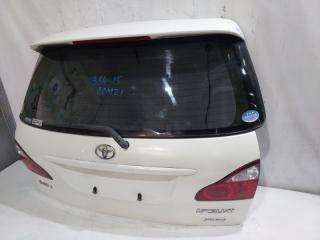 Дверь 5-я TOYOTA IPSUM ACM21 4 ракурс