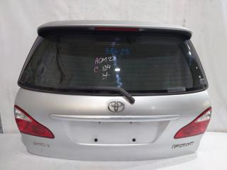 Дверь 5-я TOYOTA IPSUM ACM21 1 ракурс