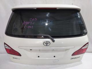 Дверь 5-я TOYOTA IPSUM ACM21 1 ракурс