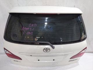 Дверь 5-я TOYOTA IPSUM ACM21 3 ракурс